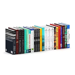 Books and Magazines Interior Decoration 3d model