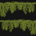 Green Decorative Vines With Lush Hanging Branches And Fresh Foliage