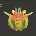 Colorful Sea Creature With Yellow Body Green Stripes And Red Spots