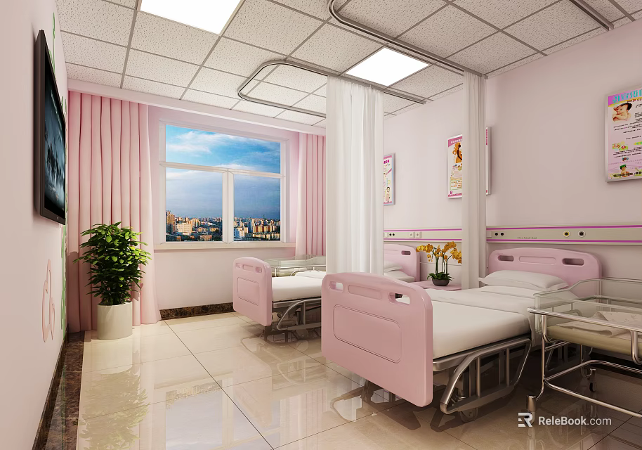 Pink Hospital Room With Two Beds Window Curtains TV And Potted Plant 3d model 