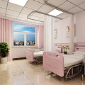 Pink Hospital Room With Two Beds Window Curtains TV And Potted Plant