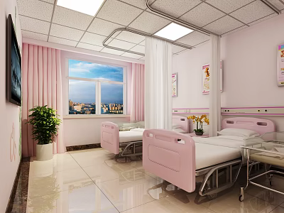 Pink Hospital Room With Two Beds Window Curtains TV And Potted Plant 3d model