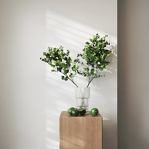 Aquatic plants Green plants Ornaments Flowers 3d model