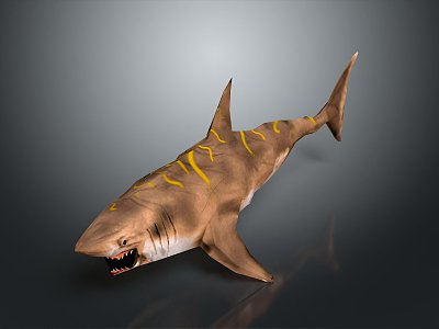 shark great white shark whale shark hammerhead shark tiger head shark man-eating shark blue shark coral red coral white coral model