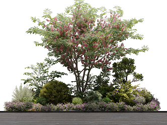 Modern shrub plant landscape cluster 3d model