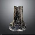 Tree Stump With Natural Weathered Wooden Texture On Smooth Black Surface
