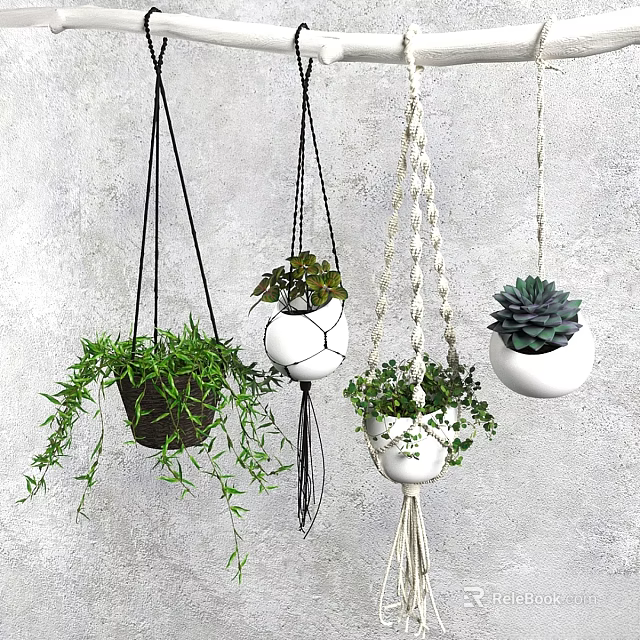 Hanging Garden Decor Plant Pots with Various Designs and Green Plants Against Gray Wall 3d model 