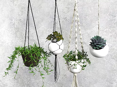 Hanging Garden Decor Plant Pots with Various Designs and Green Plants Against Gray Wall 3d model