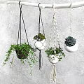 Hanging Garden Decor Plant Pots with Various Designs and Green Plants Against Gray Wall