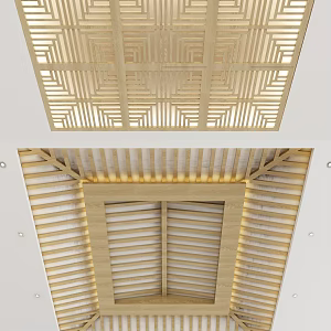 New Chinese Ceiling 3d model