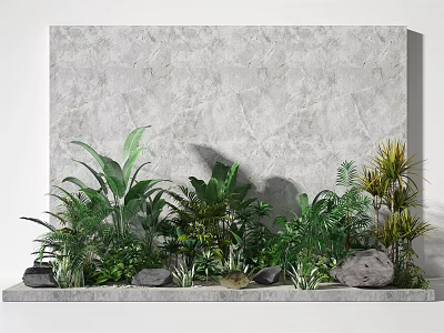 Diverse Green Tropical Plants Display Against Grey Stone Wall With Decorative Stones 3d model