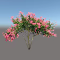 Flowering Arbor With Pink Blossoms And Green Leaves Against Blue Sky