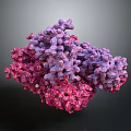 Scientific 3D Viral Molecular Structure Model Equipment For Research