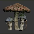 Edible Pink Green Spotted Mushroom with White Stems and Small Brown Stems Around