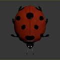 Realistic Red Ladybug With Black Spots On Shiny Back And Thin Black Antennae 3d model