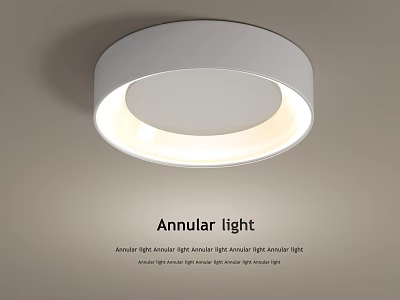 Contemporary Annular Ceiling Light With Bright Illuminated Rim For Rooms 3d model