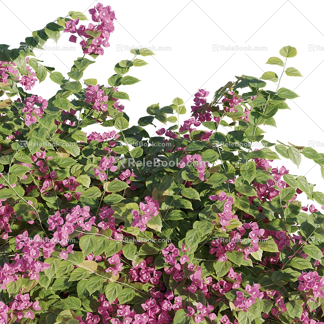 Modern Vine 3d model