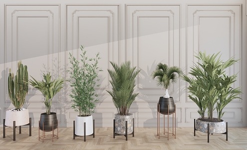 modern potted plant potted plant 3d model