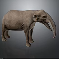 Gray Elephant Standing Against Dark Background With Long Tusks 3D Rendering