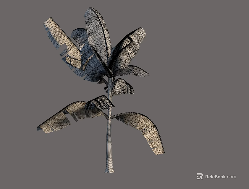 Realistic Tropical Arbor Featuring Large Detailed Leaves And Slender Trunk 3d model