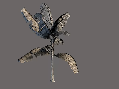 Realistic Tropical Arbor Featuring Large Detailed Leaves And Slender Trunk 3d model