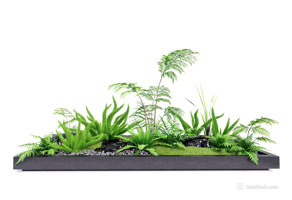 Green Plants Arrangement in Black Rectangular Container With Ferns Grass Pebbles and Moss 3d model 