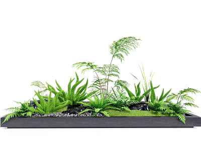 Green Plants Arrangement in Black Rectangular Container With Ferns Grass Pebbles and Moss 3d model
