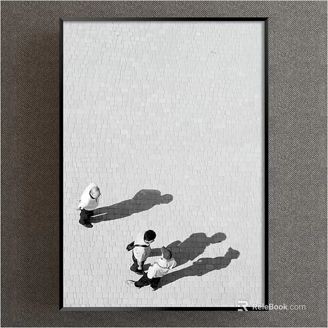 Black and White Overhead View Of Two People Helping On Brick Pavement With Long Shadows 3d model 