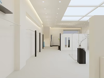 Modern Elevator Hallway Interior With White Walls Skylight And Decorative Plants 3d model