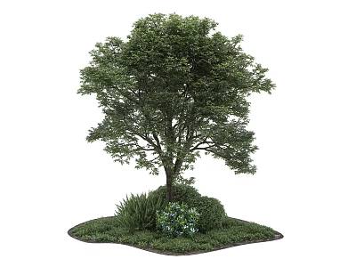 Healthy Arbor Featuring Lush Foliage Green Grass and Small Plants 3d model