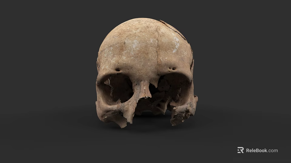 Ancient Human Skull With Visible Cracks And Weathered Surface On Dark Background 3d model 