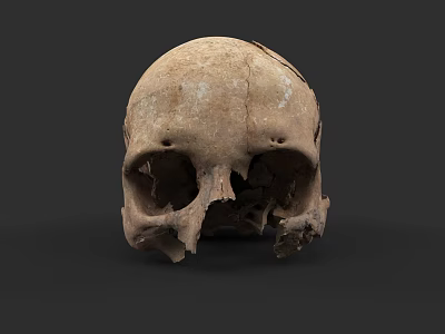 Ancient Human Skull With Visible Cracks And Weathered Surface On Dark Background 3d model