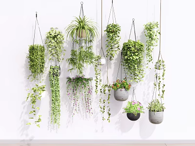 Lush Indoor Hanging Plants Decor with Various Green Vines and Stylish Pots 3d model