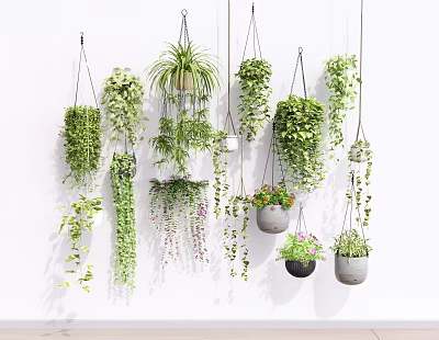 Lush Indoor Hanging Plants Decor with Various Green Vines and Stylish Pots 3d model