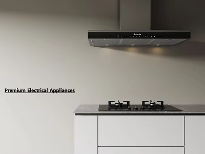 Modern Kitchen With Premium Electrical Appliances Range Hood And Gas Stove 3d model