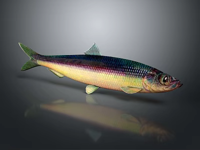 Vibrant Colored Fish With Green Fins And Shiny Body On Gray Reflective Surface 3d model