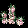 Decorative Floral Arrangement With Pink White Flowers Green Leaves And Geometric Frames