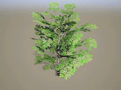Lush Green Arbor with Dense Foliage Healthy Branches and Strong Trunk 3d model