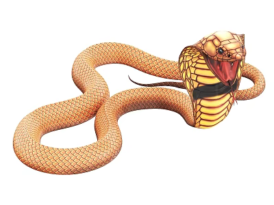 Detailed Orange Hooded Cobra Illustration With Yellow Patterns And Extended Neck 3d model