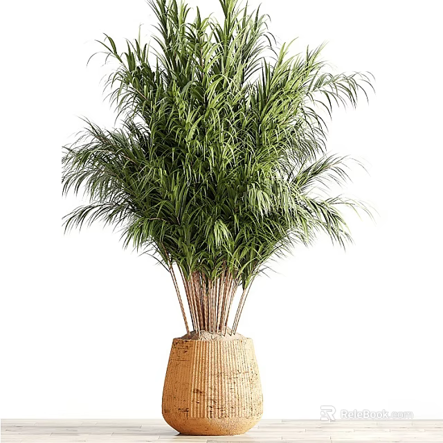 Bonsai Potted Plant Featuring Lush Green Leaves In Woven Basket Planter 3d model 