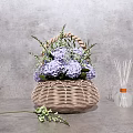 Wicker Basket Vase With Purple Hydrangea Flowers And Aromatic Diffuser On Gray Concrete Background