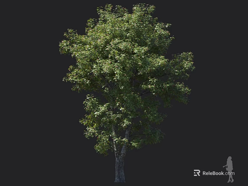 Tall Sturdy Tree With Lush Green Leaves Thick Trunk And Human Figure For Scale 3d model 