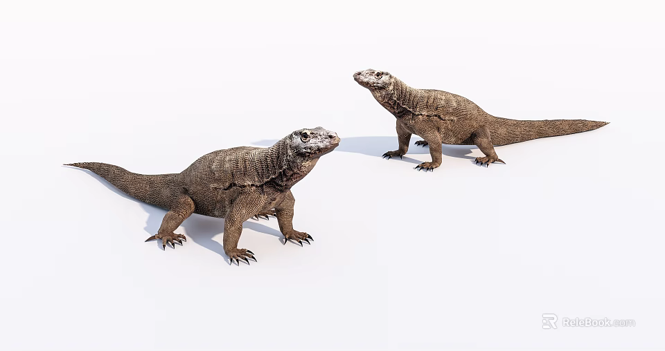 Two Komodo Dragons Reptiles With Brown Scaly Skin And Standing Stance 3d model 