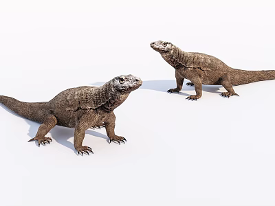 Two Komodo Dragons Reptiles With Brown Scaly Skin And Standing Stance 3d model