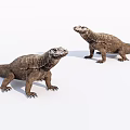 Two Komodo Dragons Reptiles With Brown Scaly Skin And Standing Stance