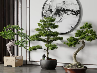 Artistic Bonsai Trees in Indoor Decorative Setting with Circular Wall Art and Wooden Accents 3d model