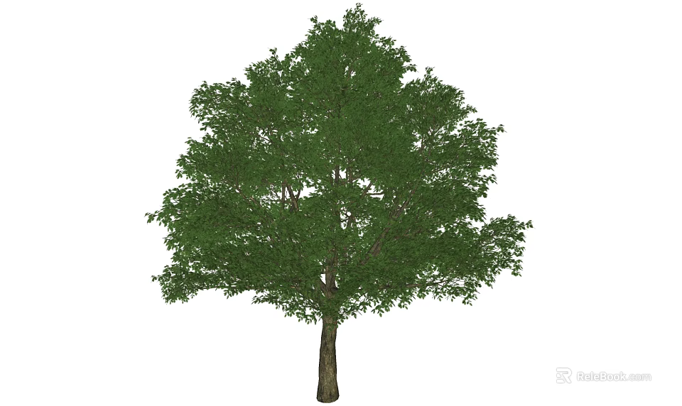 Lush Green Arbor With Full Foliage Crown And Strong Sturdy Trunk 3d model 