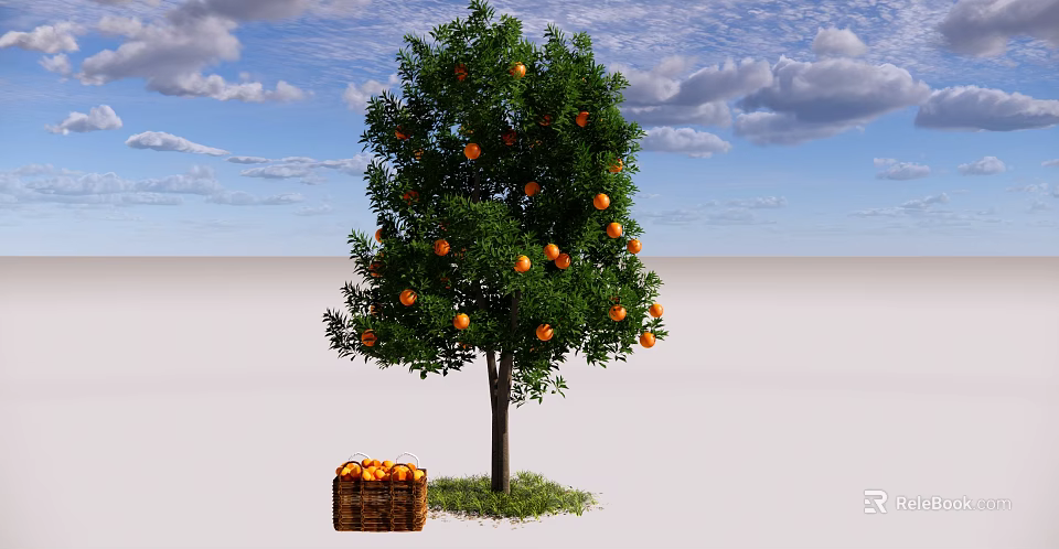 Lush Orange Tree Bearing Ripe Fruits With Basket Of Oranges Below 3d model 