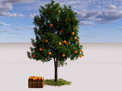 Lush Orange Tree Bearing Ripe Fruits With Basket Of Oranges Below 3d model