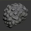 Natural Sponge Animal With Bumpy Surface And Small Dots On Gray Background 3d model
